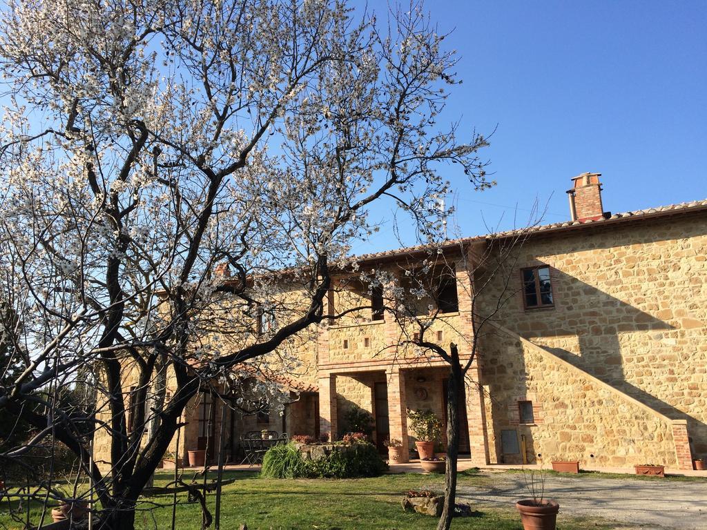 Agriturismo Podere San Gregorio Pienza Bagian luar foto