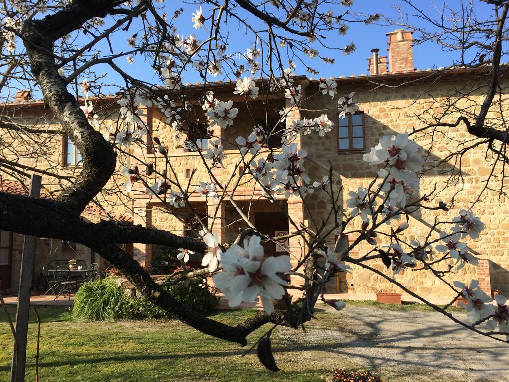 Agriturismo Podere San Gregorio Pienza Bagian luar foto